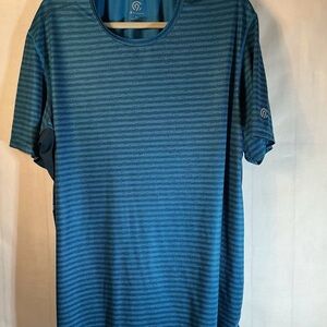 Champion Teal and Navy Striped Short Sleeve Tee